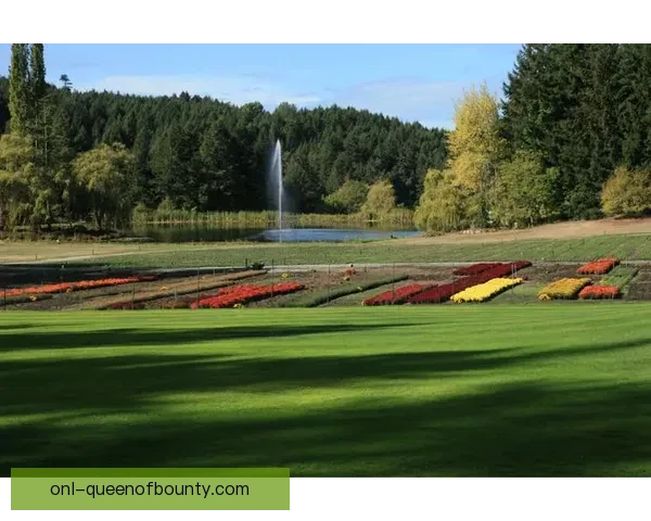 2026世界杯加拿大赛区温哥华多伦多联合发布绿色出行倡议助力可持续发展